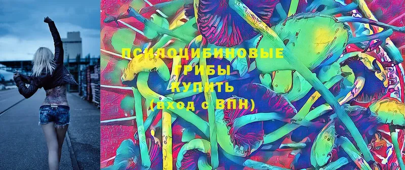 Псилоцибиновые грибы Cubensis  наркошоп  Ангарск 